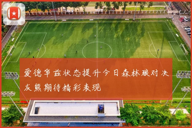 爱德华兹状态提升今日森林狼对决灰熊期待精彩表现